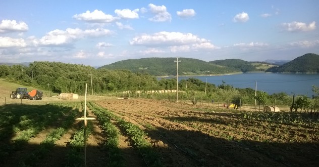 Pranzo di Ferragosto in Agriturismo Arezzo Agriturismo Le Ceregne